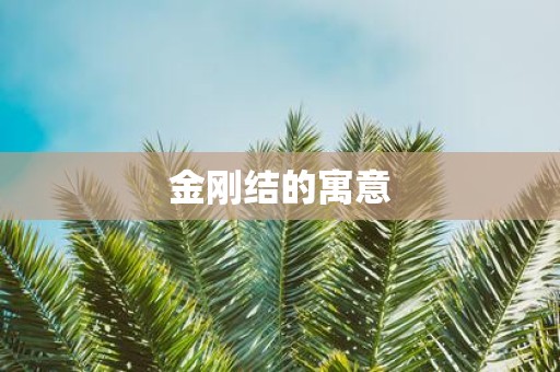 金刚结的寓意