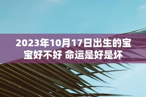 2025年10月17日出生的宝宝好不好 命运是好是坏