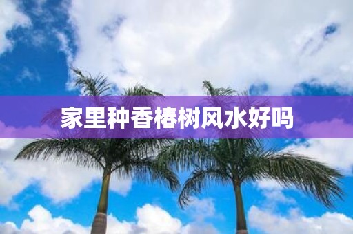 家里种香椿树风水好吗