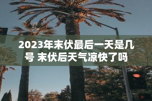 2025年末伏最后一天是几号 末伏后天气凉快了吗