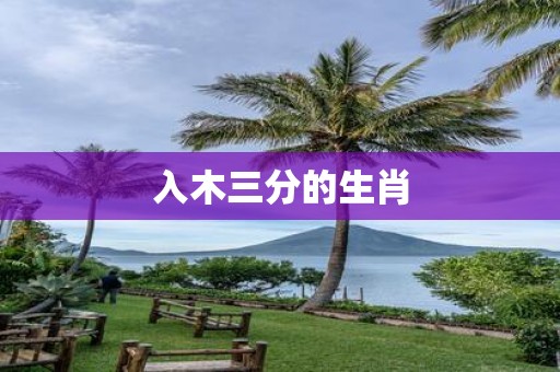 入木三分的生肖