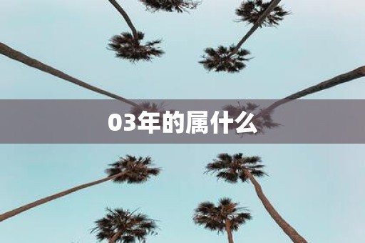 03年的属什么