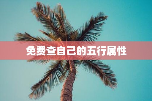 免费查自己的五行属性