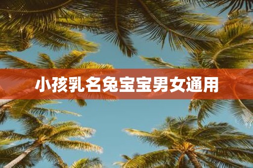 小孩乳名兔宝宝男女通用