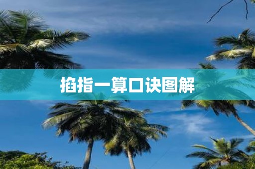 掐指一算口诀图解