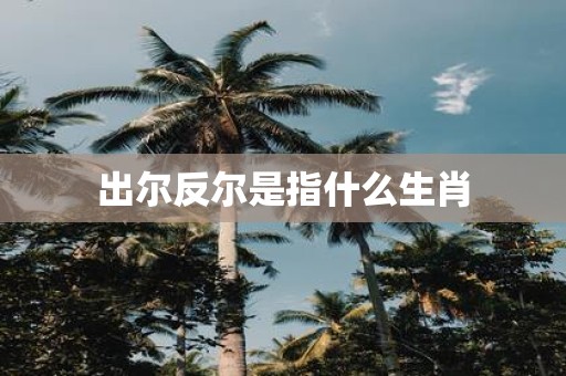 出尔反尔是指什么生肖