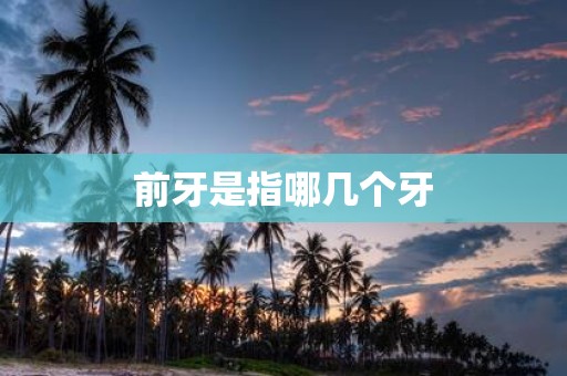 前牙是指哪几个牙