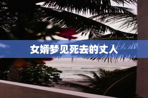 女婿梦见死去的丈人