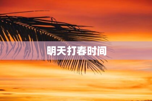 明天打春时间