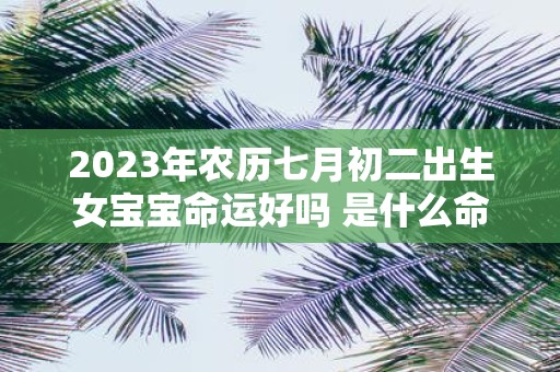 2025年农历七月初二出生女宝宝命运好吗 是什么命