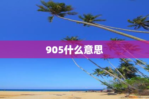 905什么意思