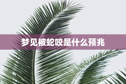 梦见被蛇咬是什么预兆