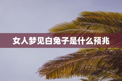 女人梦见白兔子是什么预兆