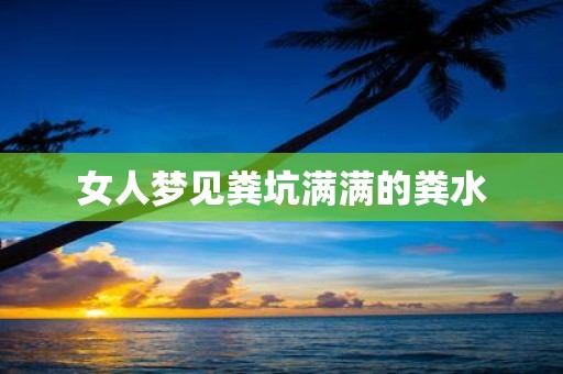 女人梦见粪坑满满的粪水