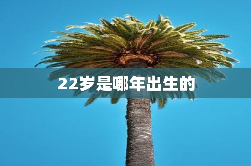 22岁是哪年出生的