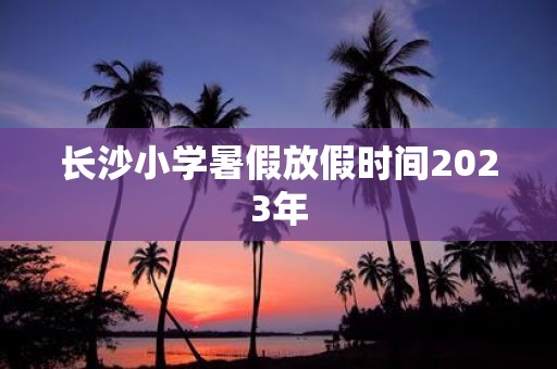 长沙小学暑假放假时间2025年