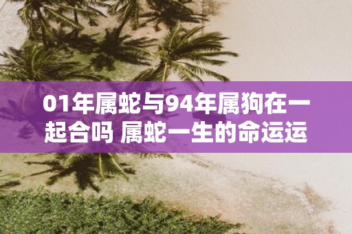 01年属蛇与94年属狗在一起合吗 属蛇一生的命运运势如何