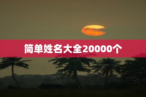 简单姓名大全20000个