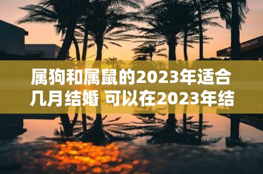 属狗和属鼠的2025年适合几月结婚 可以在2025年结婚吗