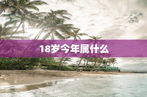 18岁今年属什么