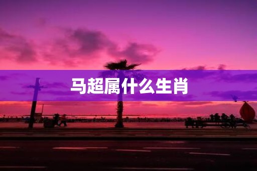 马超属什么生肖
