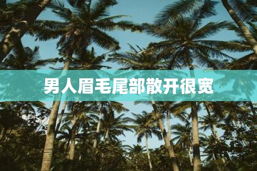男人眉毛尾部散开很宽