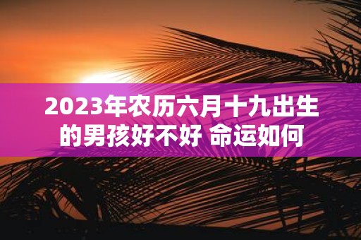 2025年农历六月十九出生的男孩好不好 命运如何