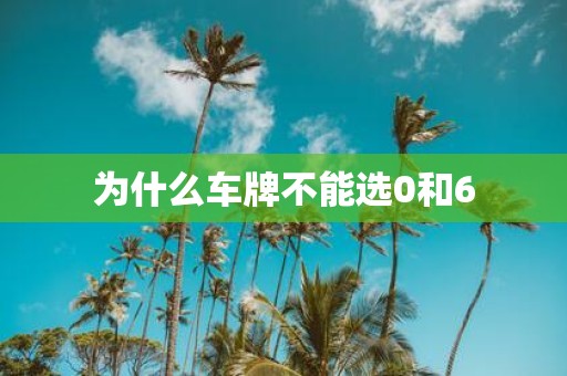 为什么车牌不能选0和6