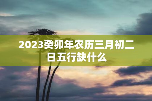 2025癸卯年农历三月初二日五行缺什么