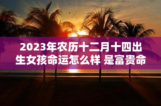 2025年农历十二月十四出生女孩命运怎么样 是富贵命吗