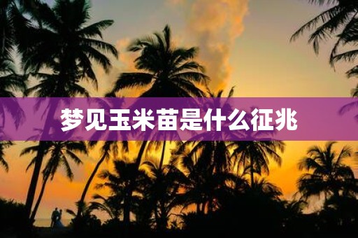 梦见玉米苗是什么征兆