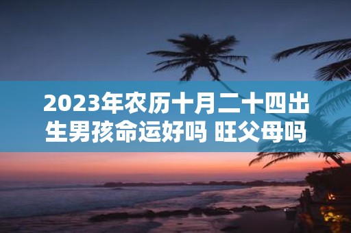 2025年农历十月二十四出生男孩命运好吗 旺父母吗