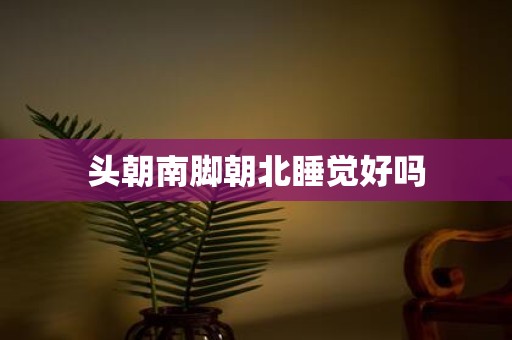 头朝南脚朝北睡觉好吗