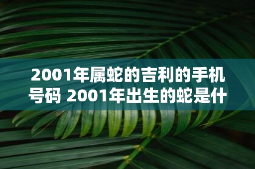 2001年属蛇的吉利的手机号码 2001年出生的蛇是什么命