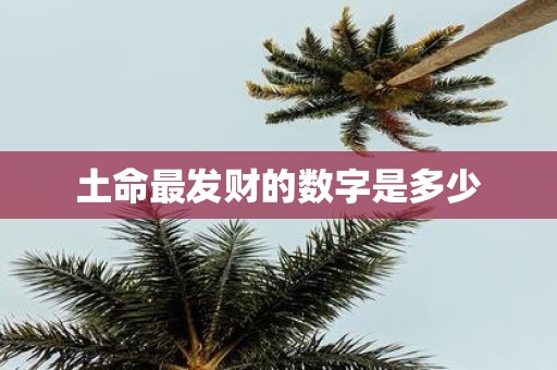 土命最发财的数字是多少