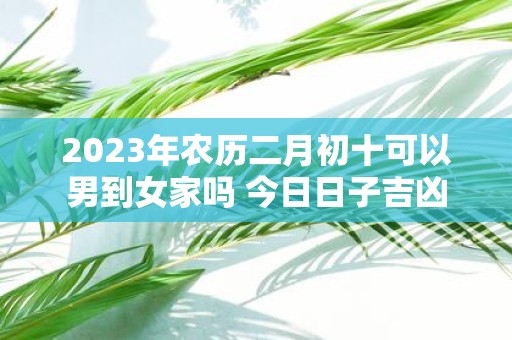 2025年农历二月初十可以男到女家吗 今日日子吉凶