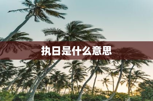 执日是什么意思