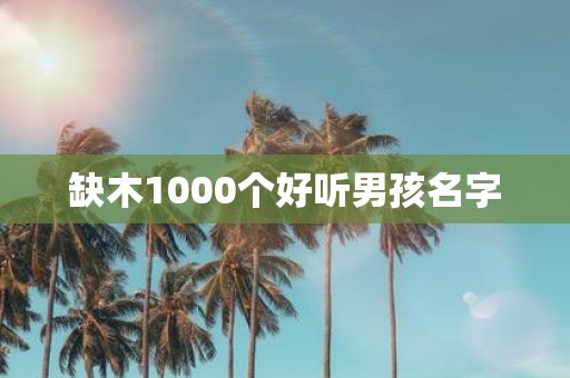 缺木1000个好听男孩名字
