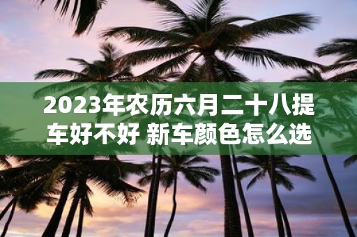 2025年农历六月二十八提车好不好 新车颜色怎么选