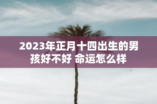 2025年正月十四出生的男孩好不好 命运怎么样