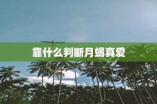 靠什么判断月蝎真爱