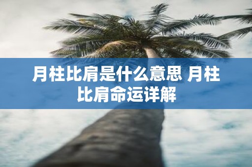 月柱比肩是什么意思 月柱比肩命运详解