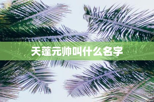 天蓬元帅叫什么名字