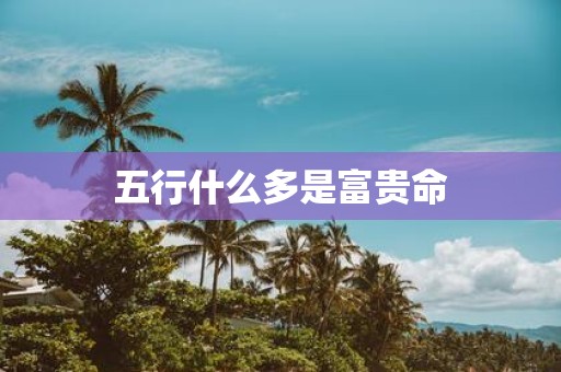 五行什么多是富贵命