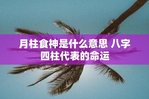 月柱食神是什么意思 八字四柱代表的命运