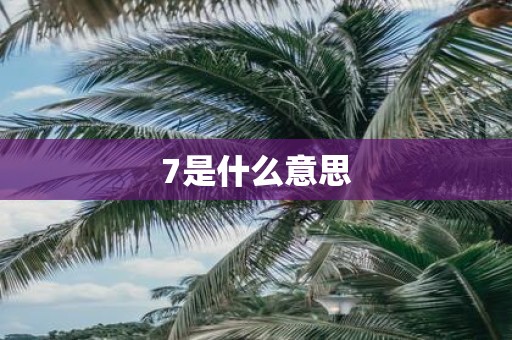 7是什么意思