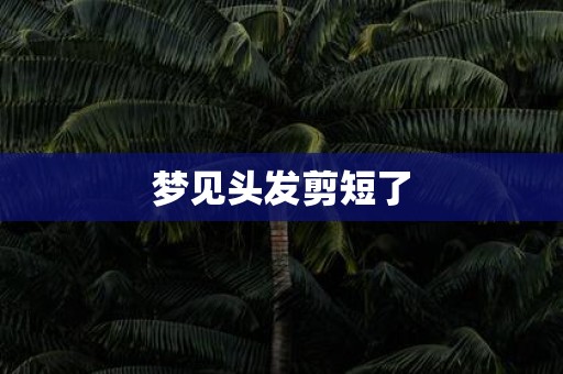 梦见头发剪短了