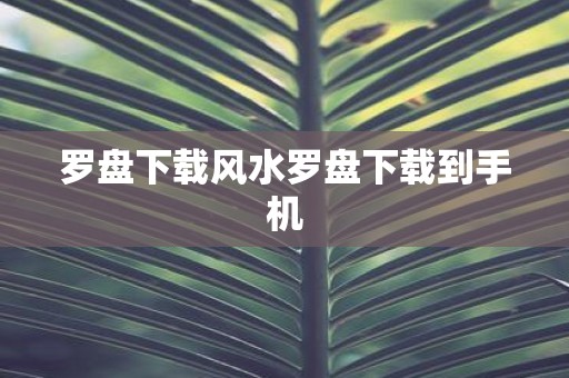 罗盘下载风水罗盘下载到手机
