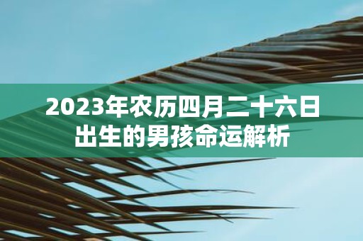 2025年农历四月二十六日出生的男孩命运解析