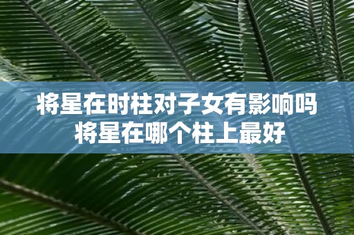 将星在时柱对子女有影响吗 将星在哪个柱上最好